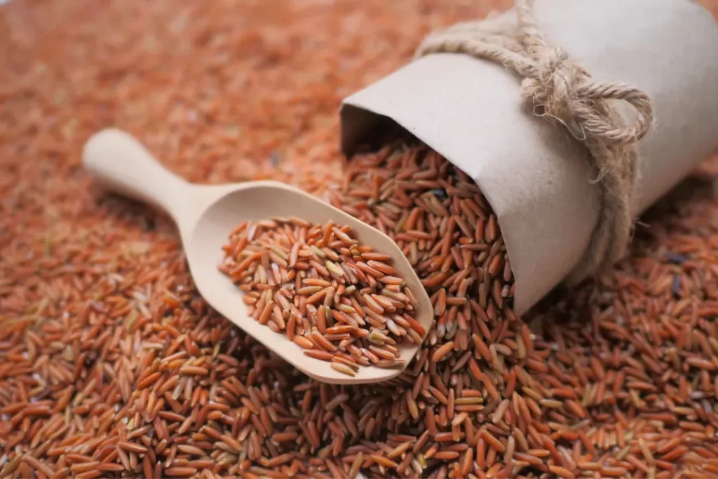 Brown rice are source of GABA
