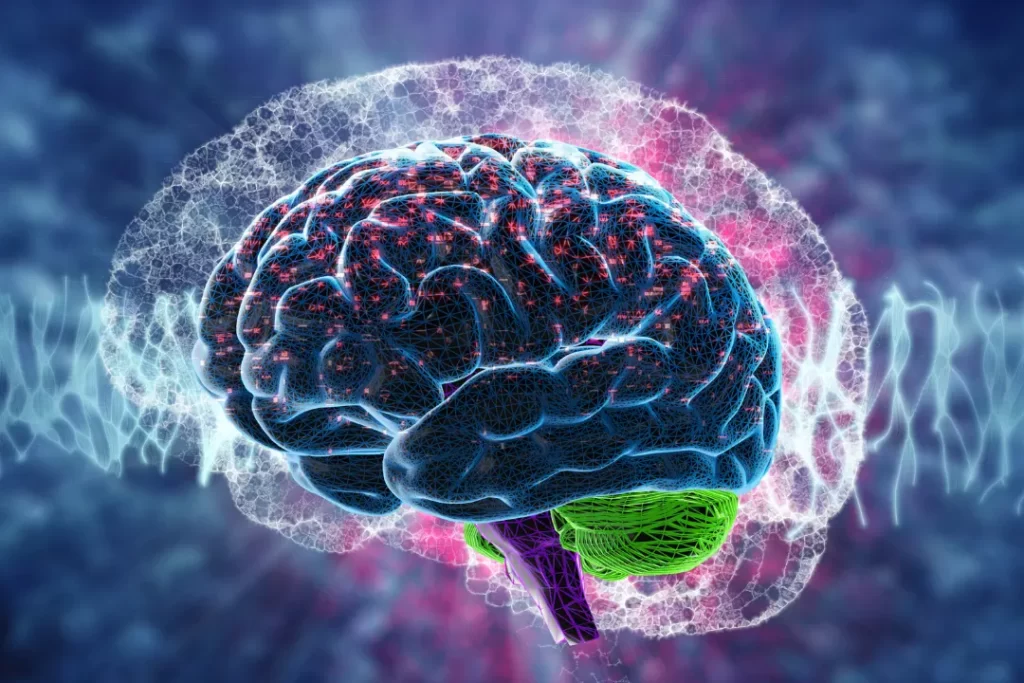 Healthy Brain concept.
