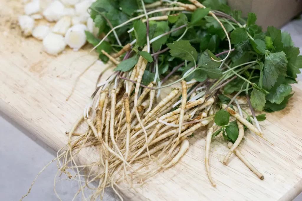 Panax ginseng is used as a medicinal herb.