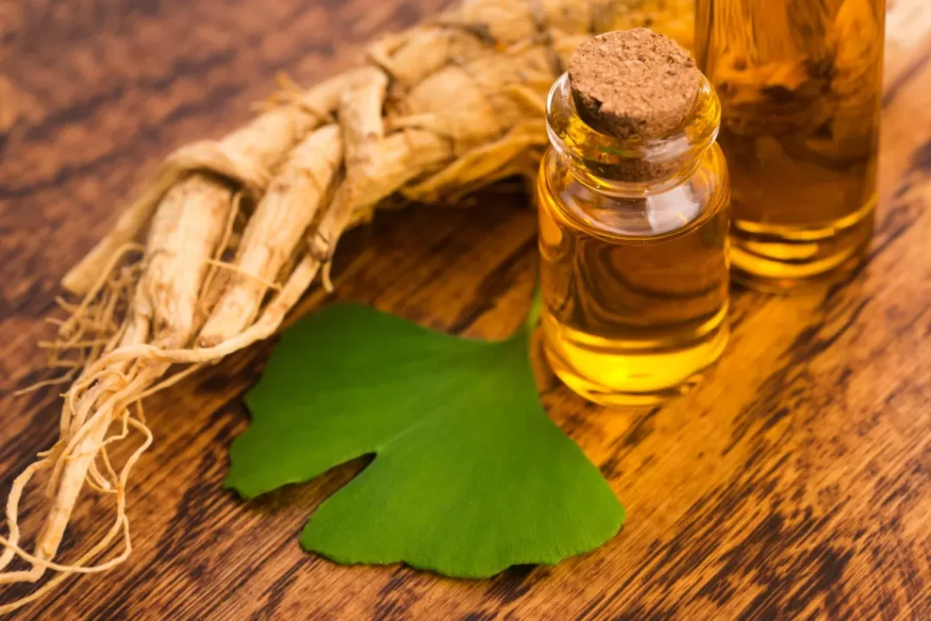 Dried Ginkgo biloba with its oil.