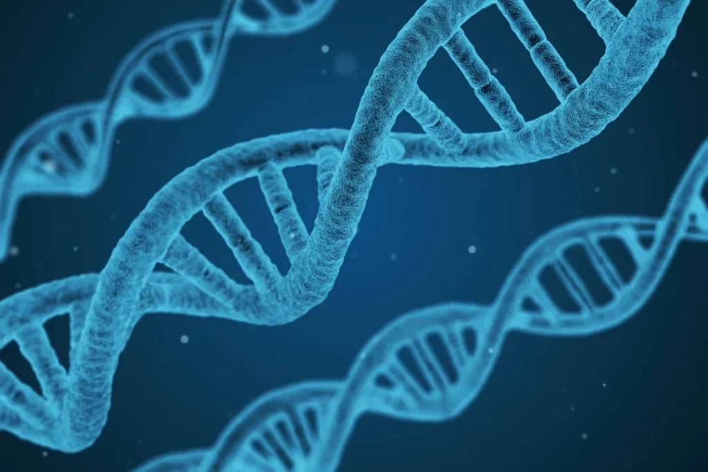 Structure of DNA.
