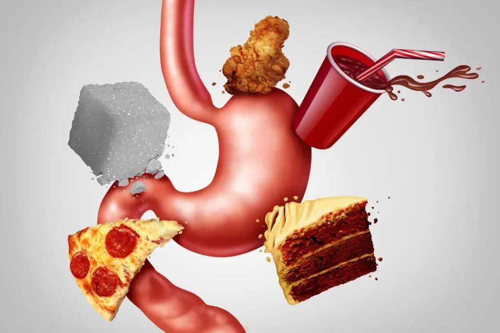 digestive health and junk food 3d model.