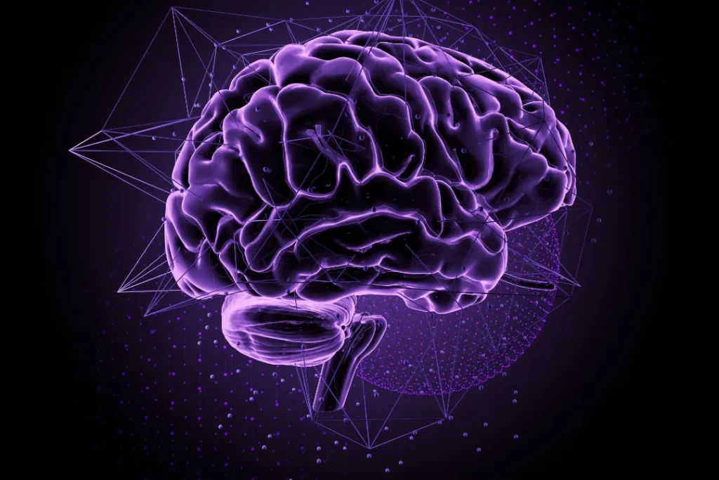 computer artwork of human brain