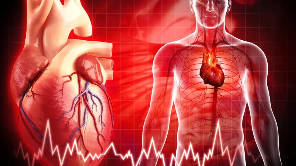 Healthy Human Heart concept.