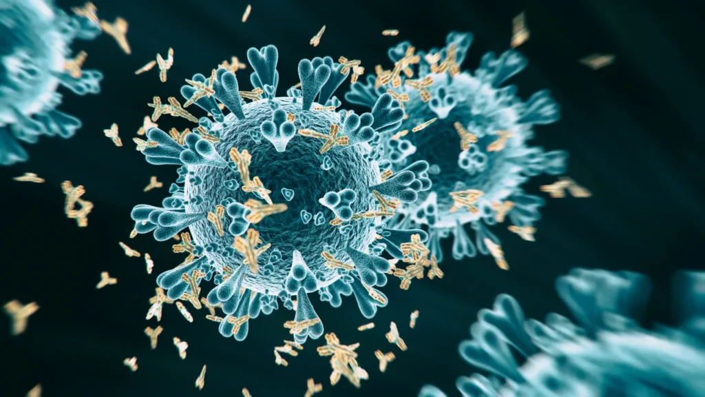 Healthy antibodies.