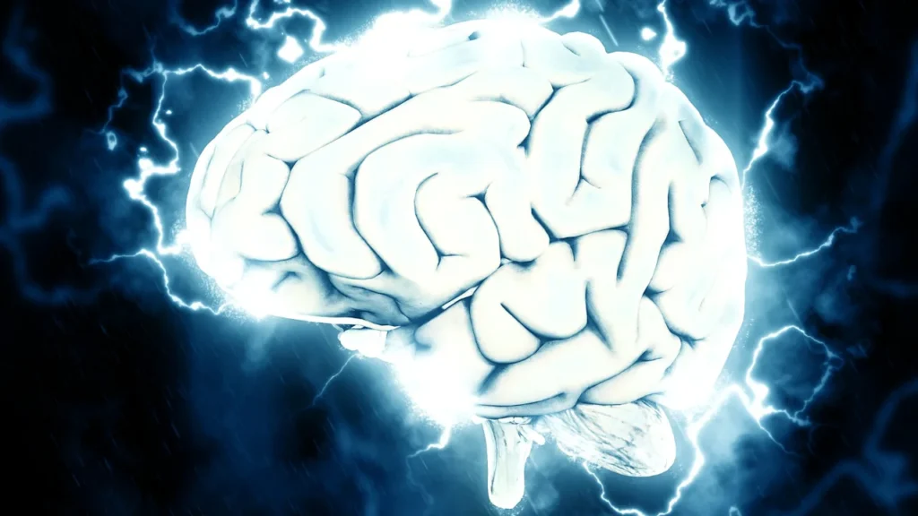 Healthy human brain.