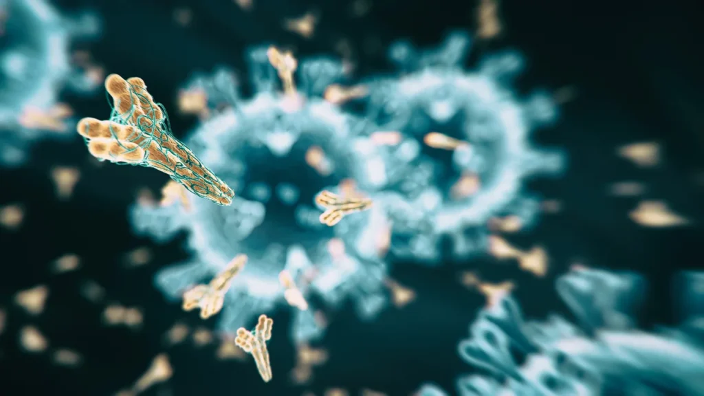 Antibodies.