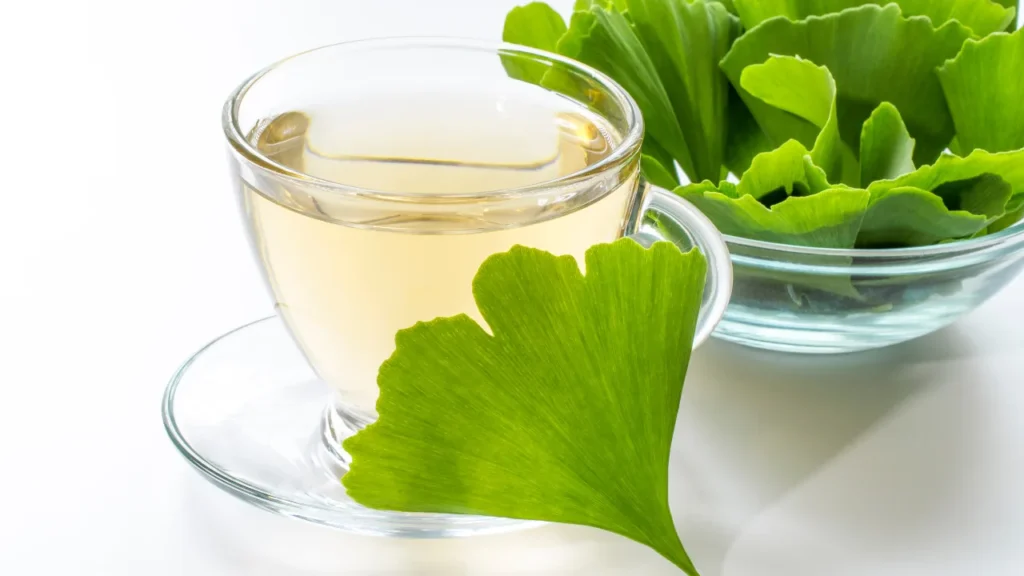 Herbal tea of Ginkgo Biloba.