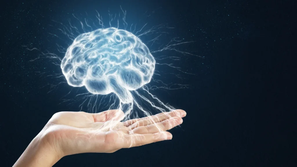 Healthy human brain.