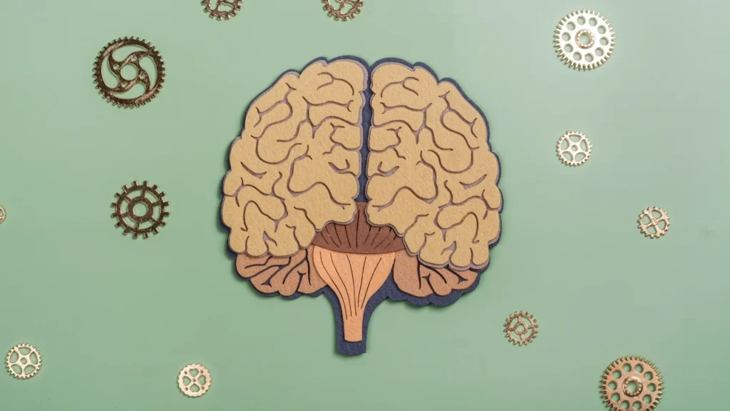 Healthy human brain.