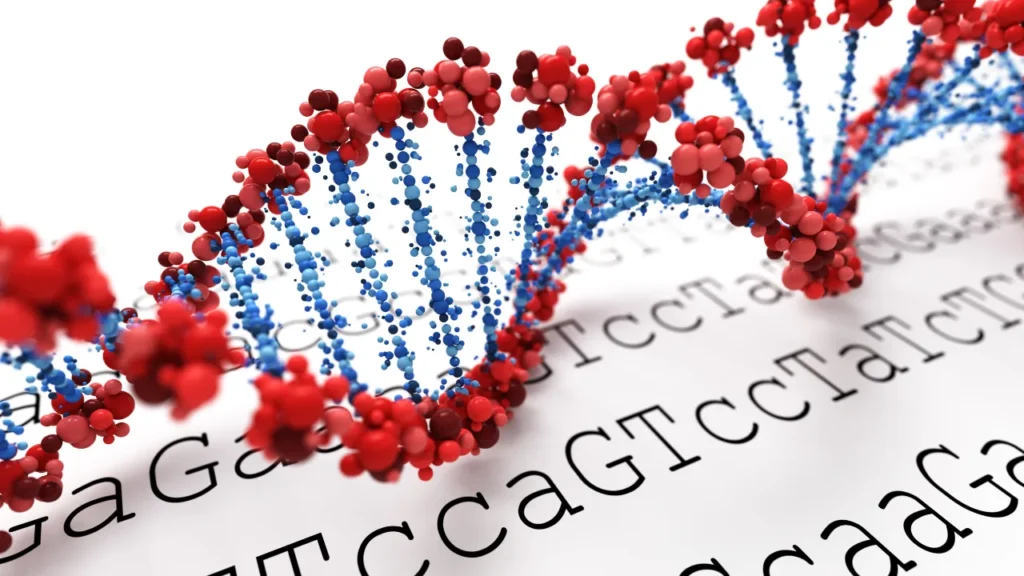 DNA structure.