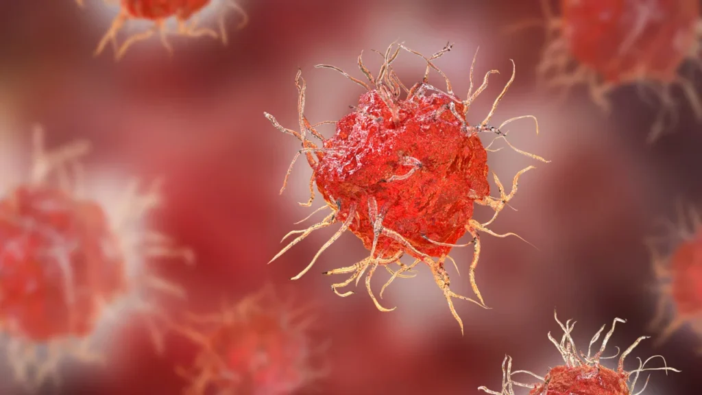 Healthy immune cells.