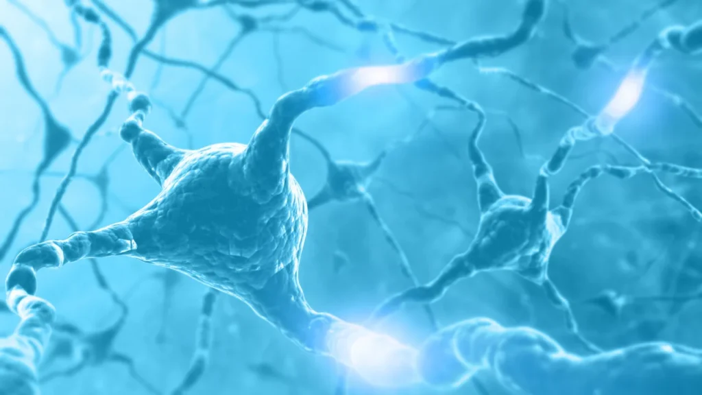 Healthy neurons.
