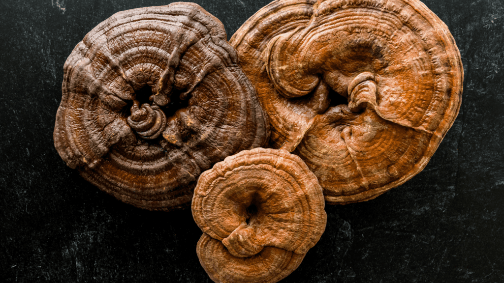 reishi mushrooms help people with autoimmune diseases by boosting immune systems.