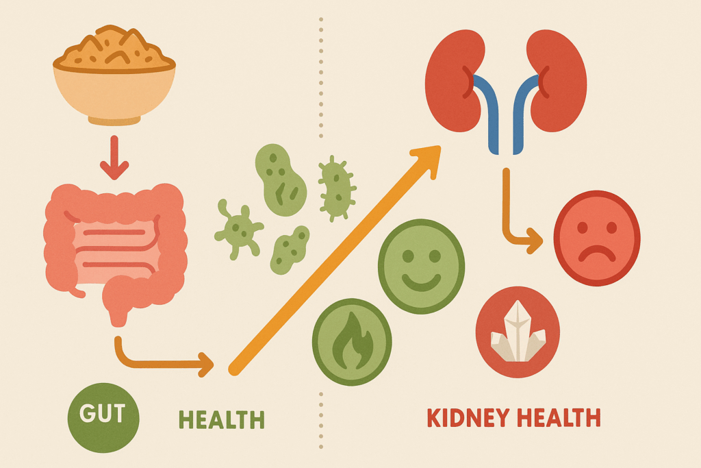 Infographic showing how raisin bran and kidneys are connected through gut bacteria and fiber, highlighting both anti-inflammatory benefits and mineral overload risks.