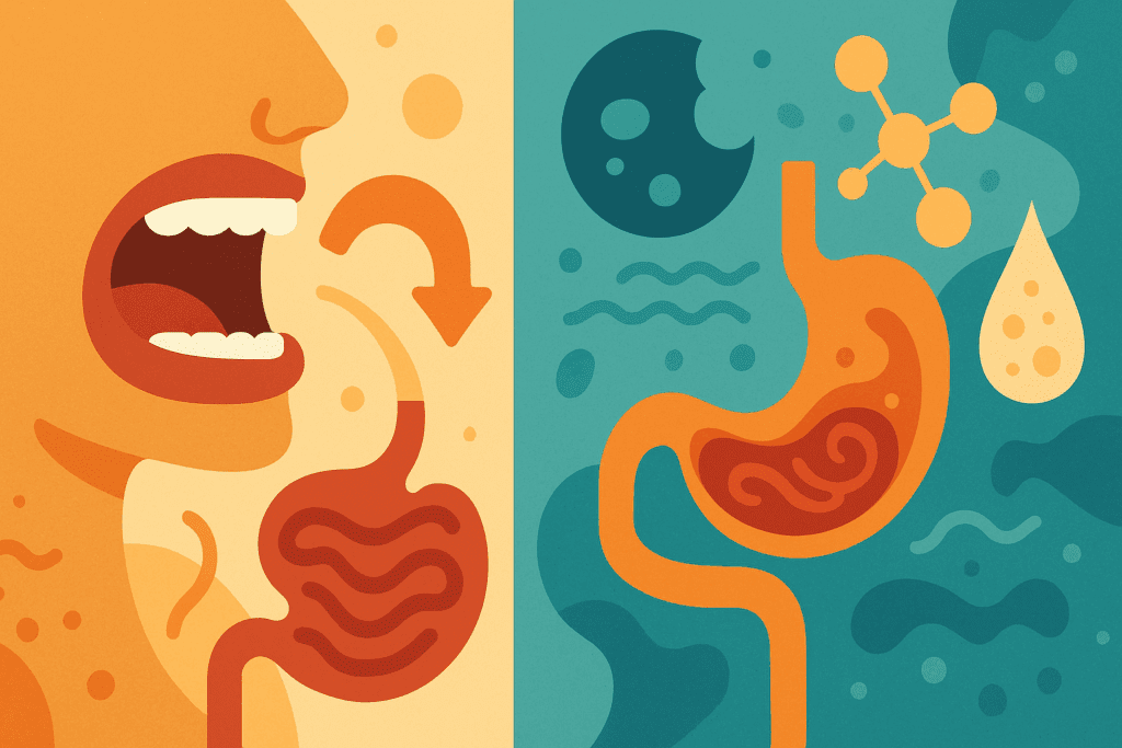 Split-panel infographic visually comparing the process of physically and chemically breaking down food through abstract digestion icons and human anatomy.