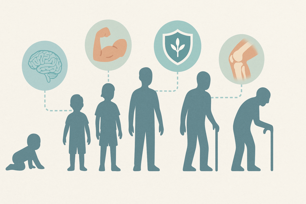 Silhouettes of different life stages from infant to elderly with icons showing brain, muscle, immune, and joint health benefits, illustrating why protein is important for your health.