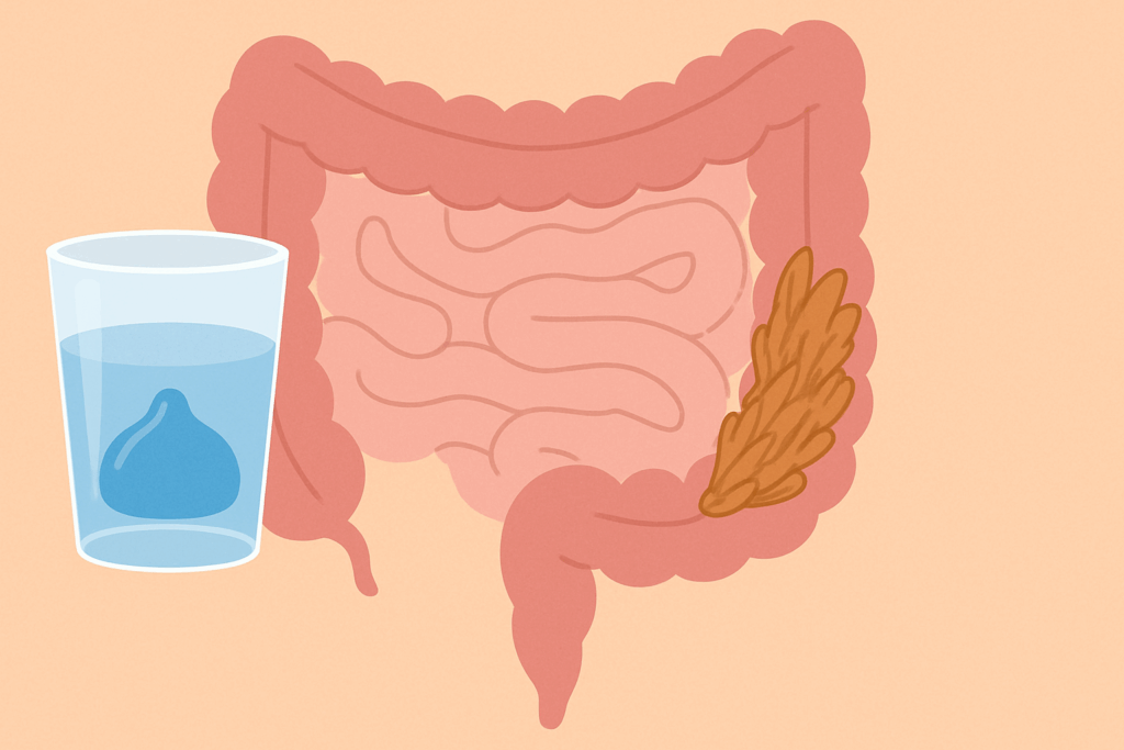 Digestive diagram showing how soluble fiber forms a gel in water and insoluble fiber adds bulk in the gut, answering: Are Nuts High in Fiber?