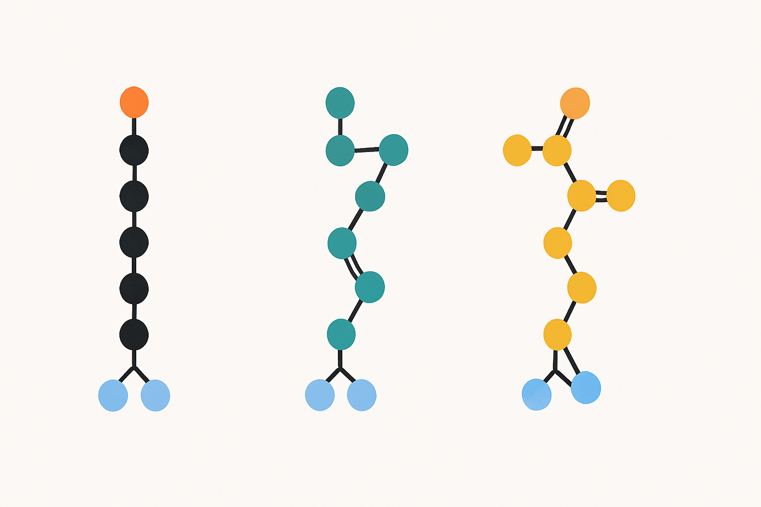 Illustration showing three fat molecules side by side: a saturated fat molecule with straight, single bonds, a monounsaturated fat molecule with one bend and a double bond, and a polyunsaturated fat molecule with multiple bends and double bonds.